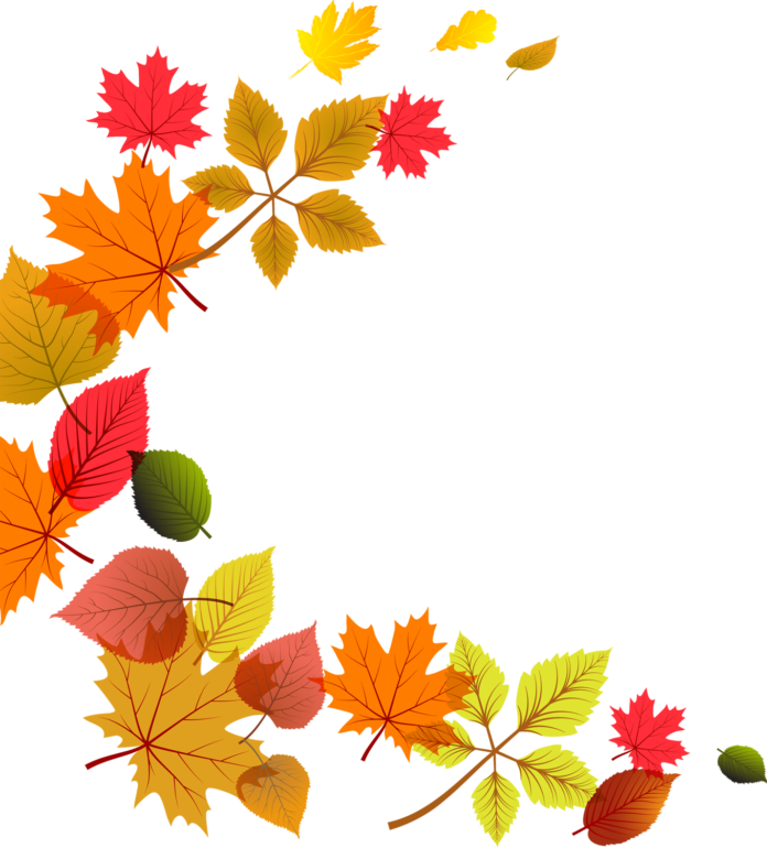 autumn leaves png