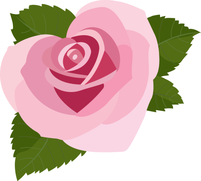 Pink Flower sticker png