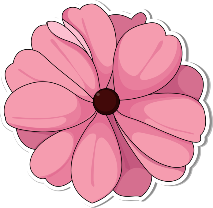 Pink Flower Png